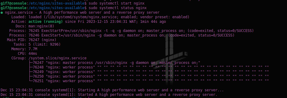 nginx2.png